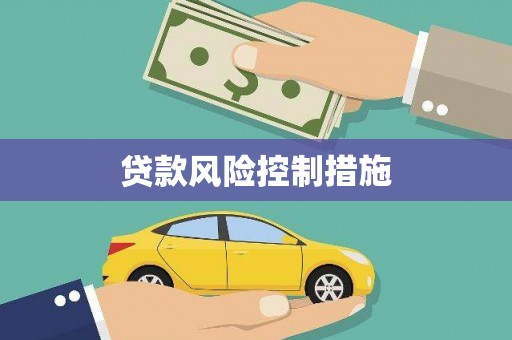 屏南贷款风险控制措施