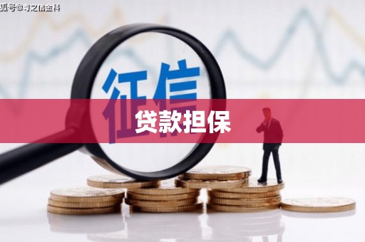 屏南贷款担保