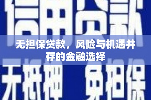 屏南无担保贷款，风险与机遇并存的金融选择