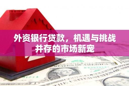 屏南外资银行贷款，机遇与挑战并存的市场新宠