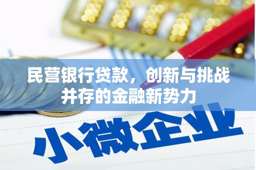 屏南民营银行贷款，创新与挑战并存的金融新势力