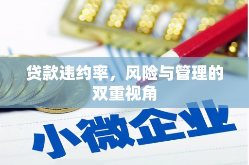 屏南贷款违约率，风险与管理的双重视角