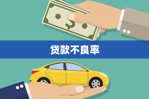 屏南贷款不良率