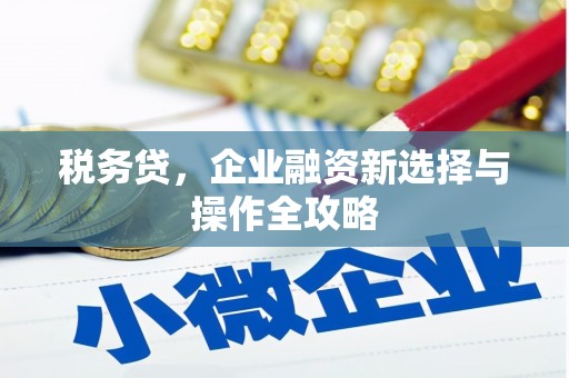 屏南税务贷，企业融资新选择与操作全攻略