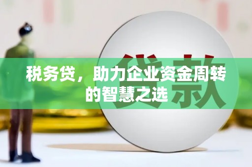 屏南税务贷，助力企业资金周转的智慧之选