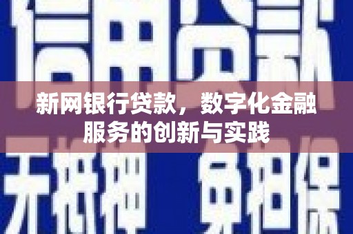 屏南新网银行贷款，数字化金融服务的创新与实践