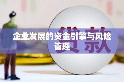 屏南企业发展的资金引擎与风险管理