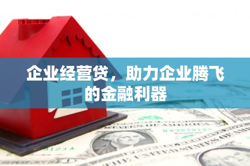 屏南企业经营贷，助力企业腾飞的金融利器