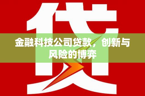 屏南金融科技公司贷款，创新与风险的博弈