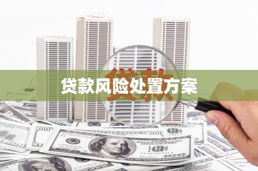 屏南贷款风险处置方案