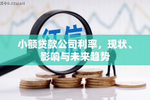 屏南小额贷款公司利率，现状、影响与未来趋势