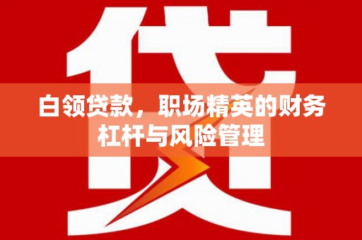 屏南白领贷款，职场精英的财务杠杆与风险管理