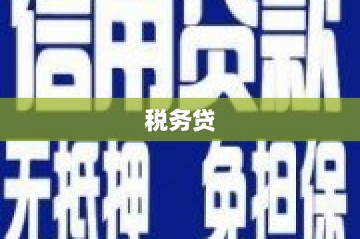 屏南税务贷