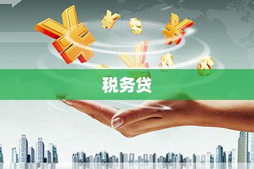 屏南税务贷