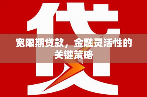 屏南宽限期贷款，金融灵活性的关键策略