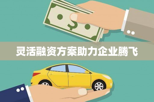 屏南灵活融资方案助力企业腾飞