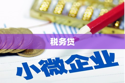 屏南税务贷