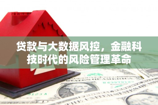 屏南贷款与大数据风控，金融科技时代的风险管理革命