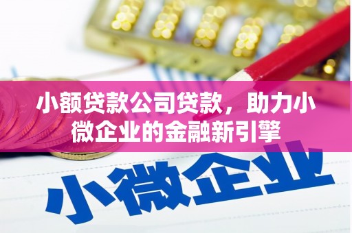 屏南小额贷款公司贷款，助力小微企业的金融新引擎