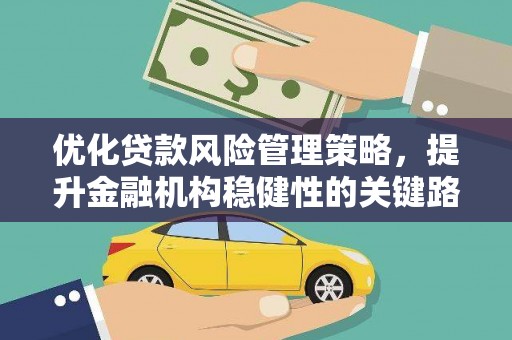 屏南优化贷款风险管理策略，提升金融机构稳健性的关键路径