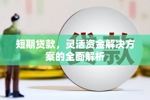 屏南短期贷款，灵活资金解决方案的全面解析