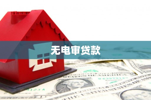 屏南无电审贷款