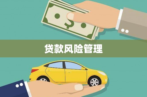 屏南贷款风险管理