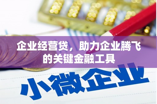 屏南企业经营贷，助力企业腾飞的关键金融工具