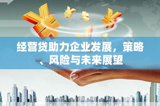 屏南经营贷助力企业发展，策略、风险与未来展望