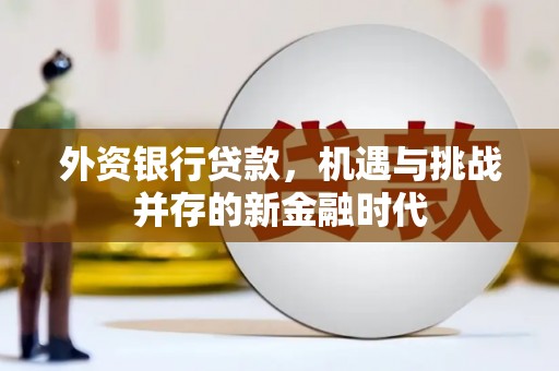 屏南外资银行贷款，机遇与挑战并存的新金融时代