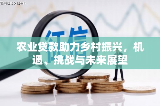 屏南农业贷款助力乡村振兴，机遇、挑战与未来展望