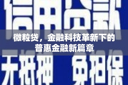 屏南微粒贷，金融科技革新下的普惠金融新篇章