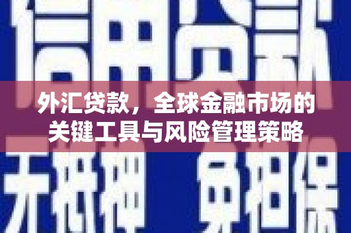 屏南外汇贷款，全球金融市场的关键工具与风险管理策略