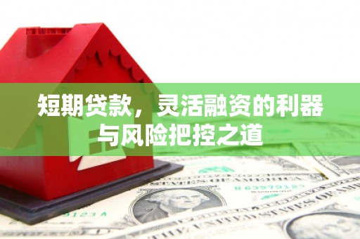 屏南短期贷款，灵活融资的利器与风险把控之道