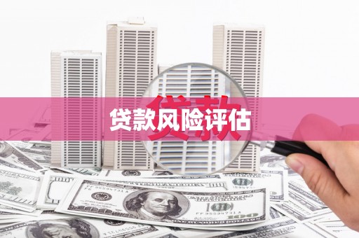 屏南贷款风险评估