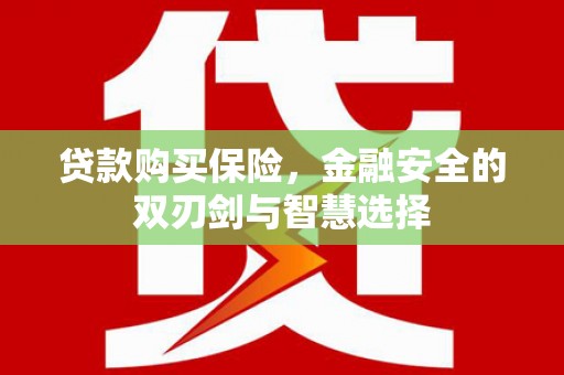 屏南贷款购买保险，金融安全的双刃剑与智慧选择