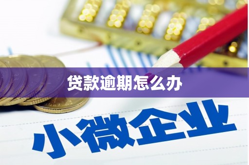 屏南贷款逾期怎么办