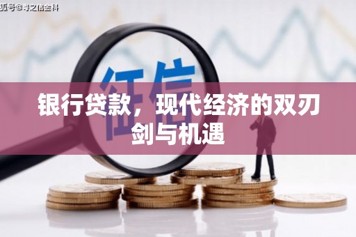 屏南银行贷款，现代经济的双刃剑与机遇