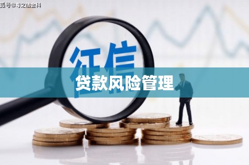 屏南贷款风险管理