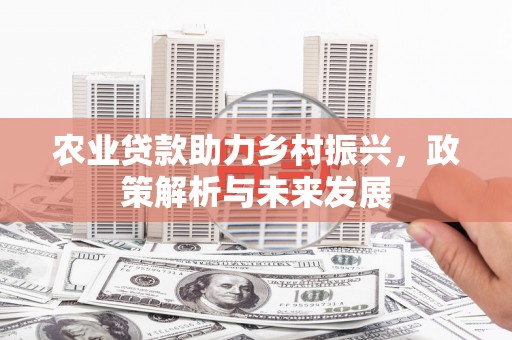 屏南农业贷款助力乡村振兴，政策解析与未来发展