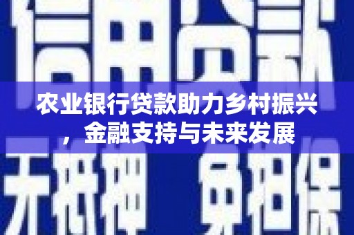 屏南农业银行贷款助力乡村振兴，金融支持与未来发展