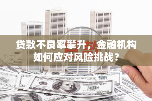 屏南贷款不良率攀升，金融机构如何应对风险挑战？