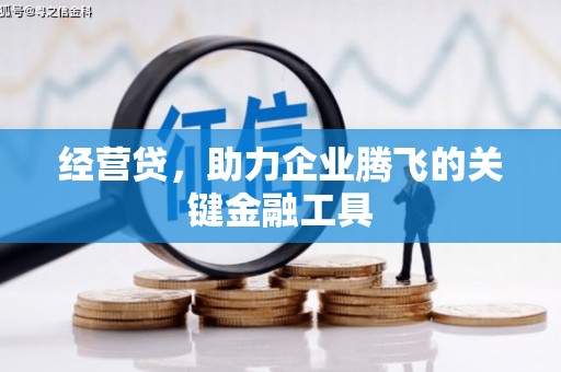 屏南经营贷，助力企业腾飞的关键金融工具