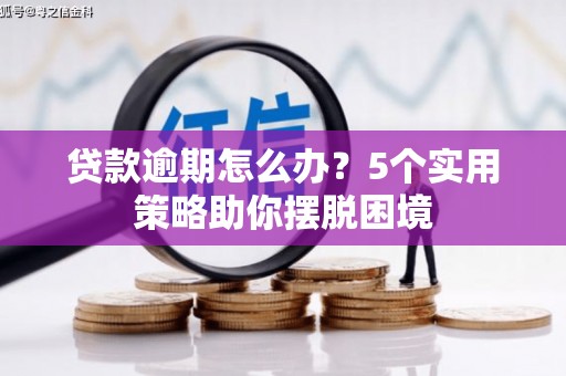 屏南贷款逾期怎么办？5个实用策略助你摆脱困境