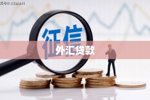 屏南外汇贷款