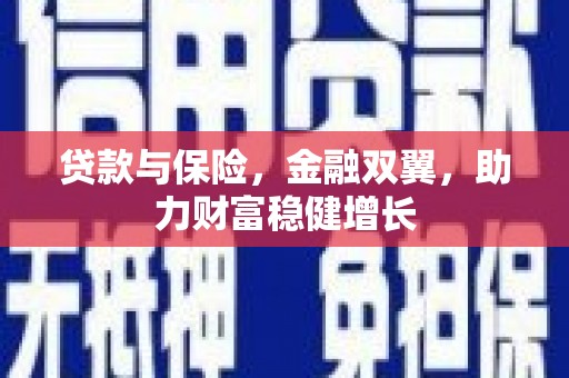 屏南贷款与保险，金融双翼，助力财富稳健增长