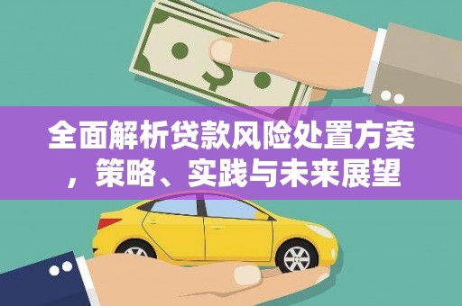 屏南全面解析贷款风险处置方案，策略、实践与未来展望