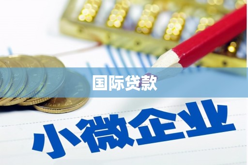 屏南国际贷款
