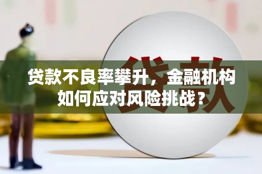屏南贷款不良率攀升，金融机构如何应对风险挑战？