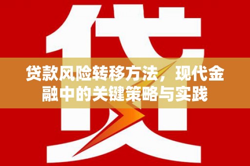 屏南贷款风险转移方法，现代金融中的关键策略与实践